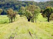 A section of the rail corridor as it sits today overgrown, which with state approval will be converted to a rail trail. Picture supplied. 