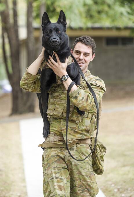 Australian Army soldier Lance Corporal Jared Willis and Military Police Dog Dirk from 1st Military Police Battalion conduct training exercises during the Military Working Dog Basic Course at RAAF Base Amberley, Queensland. Picture by Kim Allen.