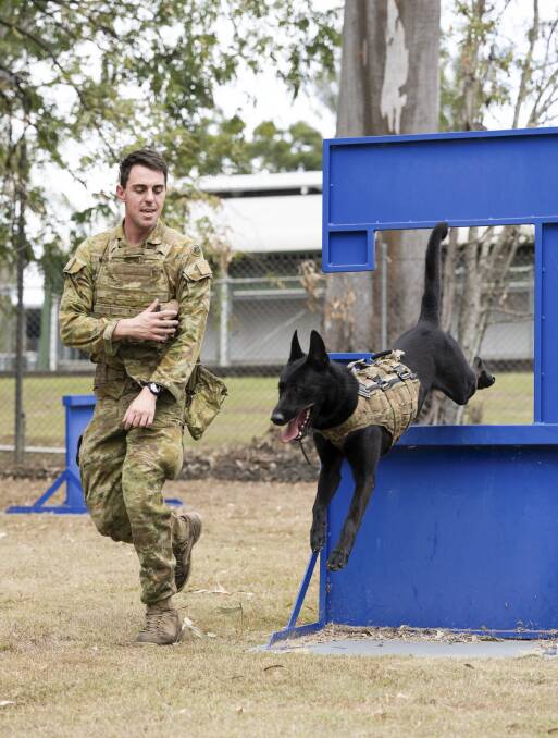 Lance Corporal Jared Willis and Dirk in training in Queensland. Pictures by Kim Allen. 
