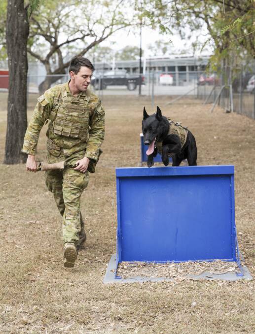 Australian Army soldier Lance Corporal Jared Willis and Dirk in training. Pictures by 